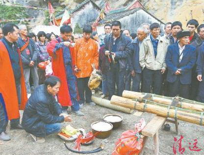 豎起刀桿之前,用活雞鴨來祭祀祈求平安。